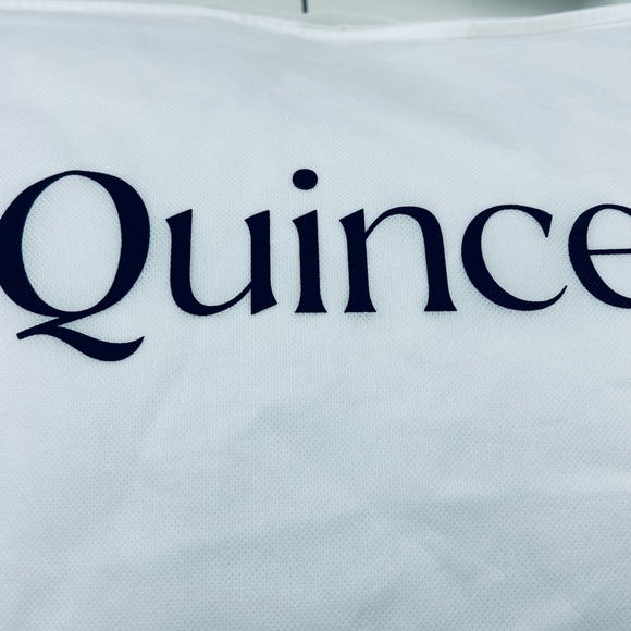 NWOT QUINCE Premium Down Pillow Soft King 3667 - Picture 6 of 12